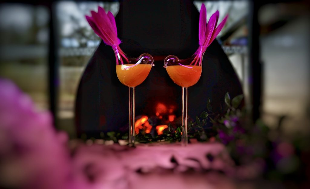 Passionfruit martini bird glasses